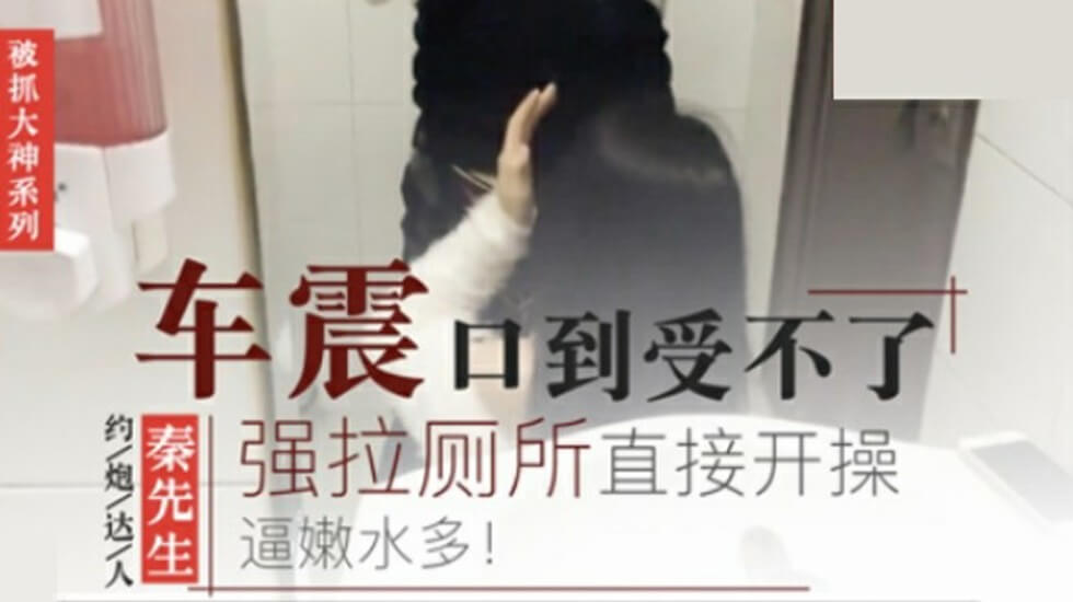 @20207920237 用户上传：秦先生第四部-开车被口到受不了,餐厅厕所直接开操