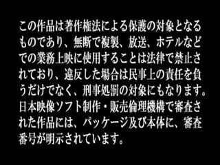 [SHIC-133]発育途中の微乳娘とSEXパート212人4時間第13集
